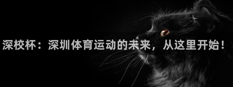 JJB竞技宝官网下载官方客服电话:深校杯:深圳体育运动的未来