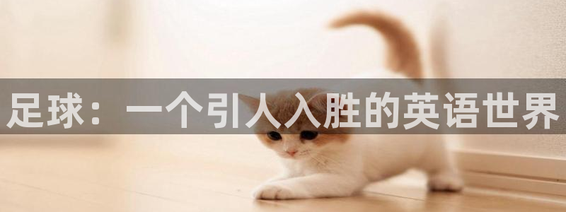 JJB竞技宝官方正版app娱乐网站:足球:一个引人入胜的英语