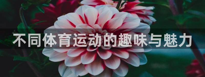 JJB竞技宝官网下载平台是正规平台吗安全吗:不同体育运动的趣