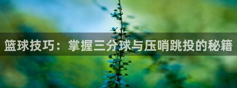 JJB竞技宝官网下载招商电话地址查询:篮球技巧:掌握三分球与