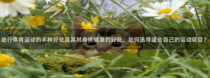 JJB竞技宝官方正版app娱乐平台:进行体育运动的多种好处及